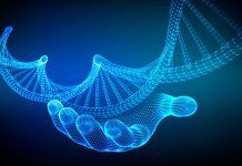 A propósito de inteligencia organoide y las redes neuronales biológicas A propósito de inteligencia organoide y las redes neuronales biológicas