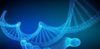 A propósito de inteligencia organoide y las redes neuronales biológicas A propósito de inteligencia organoide y las redes neuronales biológicas