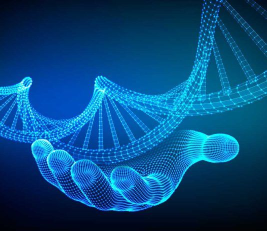 A propósito de inteligencia organoide y las redes neuronales biológicas A propósito de inteligencia organoide y las redes neuronales biológicas