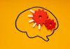 Descubren cinco variantes biológicas en el mal de Alzheimer Descubren cinco variantes biológicas en el mal de Alzheimer