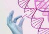 Logran revertir el síndrome de Rett en un estudio experimental Nueva estrategia frente al síndrome de Rett