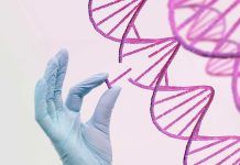 Más de 100 genes de enfermedades hereditarias aumentan el riesgo de cáncer Nueva estrategia frente al síndrome de Rett