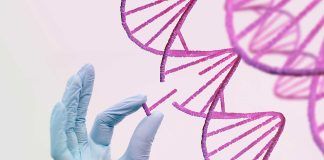Logran revertir el síndrome de Rett en un estudio experimental Nueva estrategia frente al síndrome de Rett