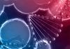 Descubren más genes ligados al cáncer de mama Descubren más genes ligados al cáncer de mama