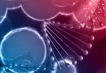 Descubren más genes ligados al cáncer de mama Descubren más genes ligados al cáncer de mama