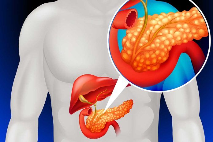 Con un páncreas pequeño la progresión a diabetes 1 es más rápida