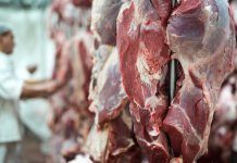 Nuevo biosensor para comprobar si la carne es fresca Nuevo biosensor para comprobar si la carne es fresca