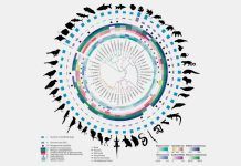 Vertebrados: hacia una máquina del tiempo evolutiva Vertebrados: hacia una máquina del tiempo evolutiva