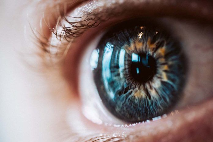 ojo Vinculan ciertas pérdidas de visión con bacterias intestinales