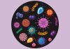 De probióticos, bacterias beneficiosas y científicos notables De probióticos, bacterias beneficiosas y científicos notables