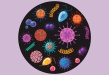 De probióticos, bacterias beneficiosas y científicos notables De probióticos, bacterias beneficiosas y científicos notables