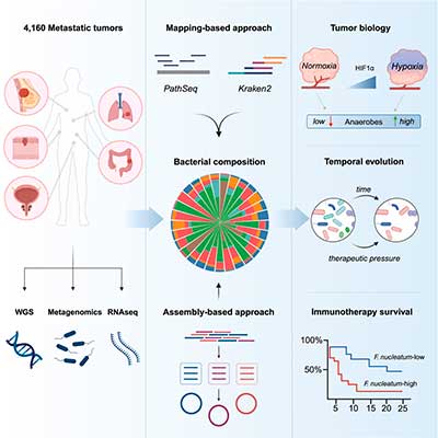 Primer catálogo de bacterias presentes en la metástasis del cáncer