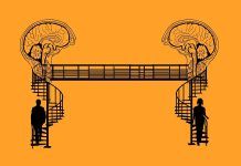 ¿Son diferentes los cerebros de mujeres y hombres? Esto dice la IA ¿Son diferentes los cerebros de mujeres y hombres? Esto dice la IA
