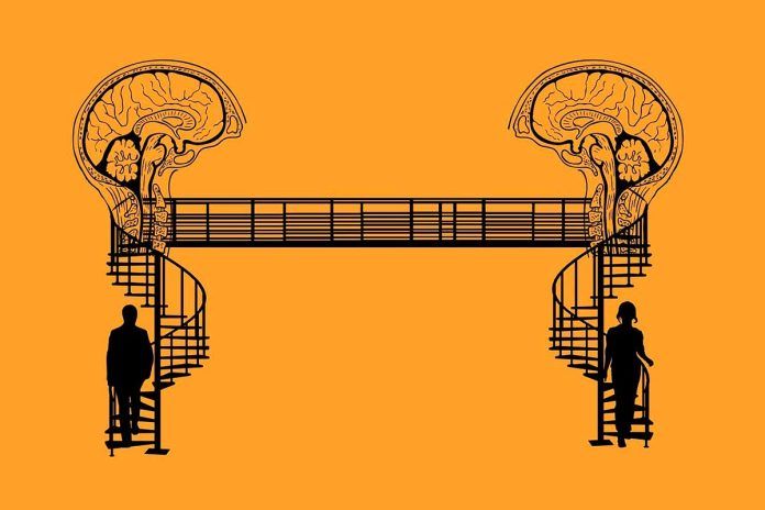 ¿Son diferentes los cerebros de mujeres y hombres? Esto dice la IA