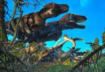 Dinosaurios: desafiando la regla de Bergmann Dinosaurios: desafiando la regla de Bergmann