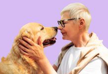 Personas y perros tenemos ‘factor g’, clave en la vejez Personas y perros tenemos ‘factor g’, clave en la vejez