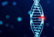 Síndrome de Li-Fraumeni: detección precoz de tumores con un simple análisis de sangre Síndrome de Li-Fraumeni: detección precoz de tumores con un simple análisis