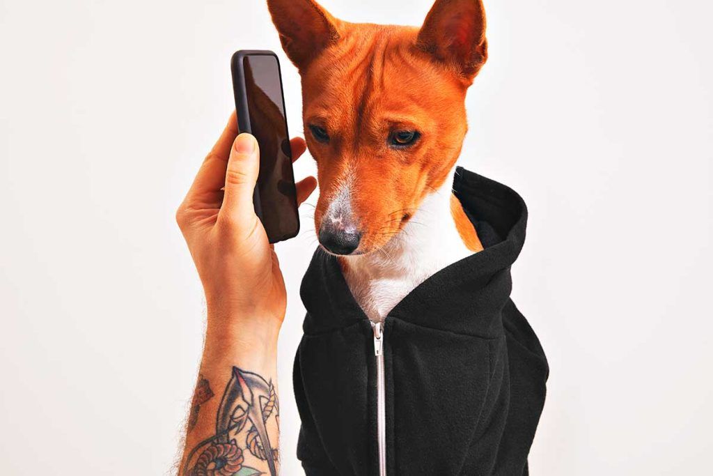 ¿Cómo los perros imitan a las personas y entienden algunas palabras?