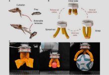 Avance en robótica blanda: pinza de origami de propulsión híbrida Avance en robótica blanda: pinza de origami de propulsión híbrida