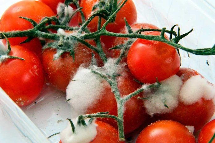 Alemania alerta del peligro de toxinas naturales en alimentos