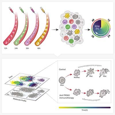 Visualizan los cambios celulares del organismo, con una 'máquina del tiempo'