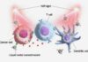 Nuevas nanopartículas de metal líquido contra el cáncer Nuevas nanopartículas de metal líquido contra el cáncer