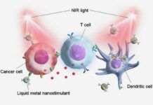 Nuevas nanopartículas de metal líquido contra el cáncer Nuevas nanopartículas de metal líquido contra el cáncer