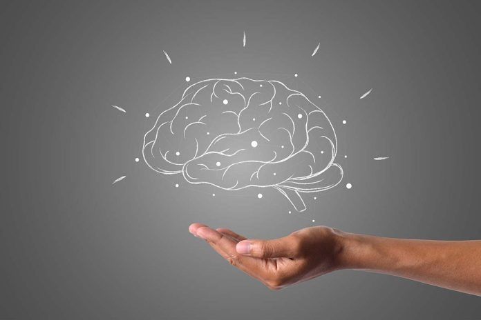 cerebro Distinguen seis tipos distintos de depresión y ansiedad