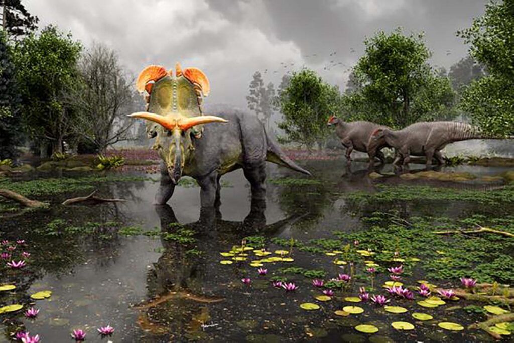Lokiceratops rangiformis, el desconocido dinosaurio herbívoro con cuernos