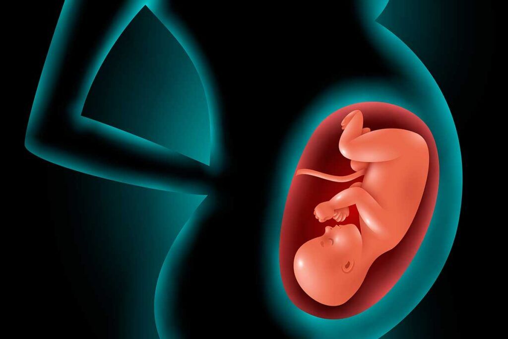 Hallan un vínculo entre el cordón umbilical y el TEA