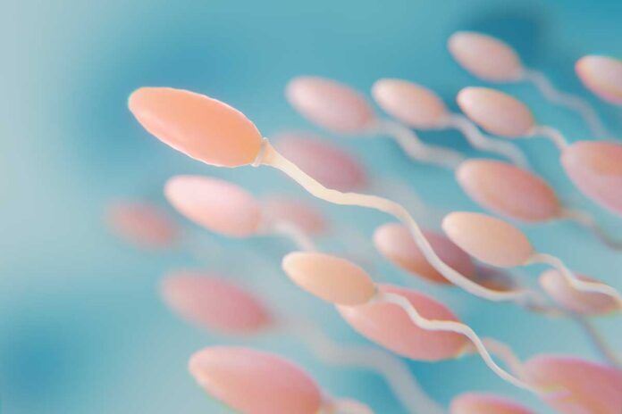 espermatozoides Predicen riesgo de infertilidad masculina con IA