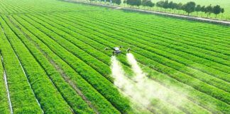 Los pesticidas agrícolas, tan cancerígenos como el tabaco Los pesticidas agrícolas, tan cancerígenos como el tabaco