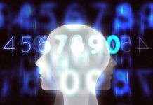 Descifrada la base neuronal del número cero en el cerebro humano Descifrada la base neuronal del número cero en el cerebro humano