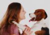 ¿Cambia el tono de voz cuando habla con su perro? ¿Cambia el tono de voz cuando habla con su perro?