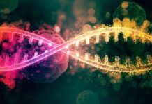 Seis nuevos genes conducen al cáncer Seis nuevos genes conducen al cáncer