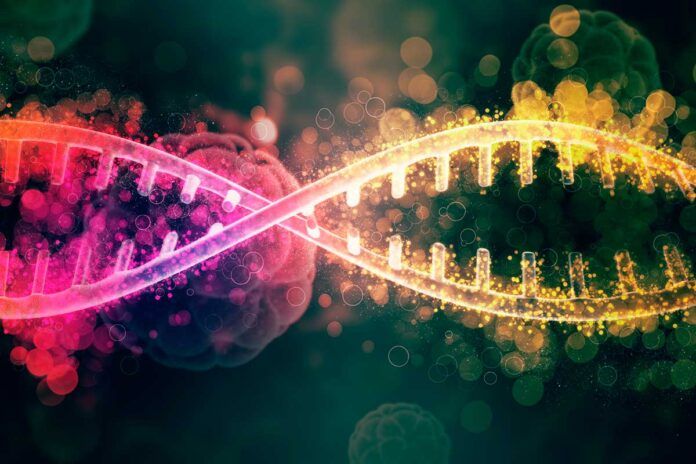Seis nuevos genes conducen al cáncer