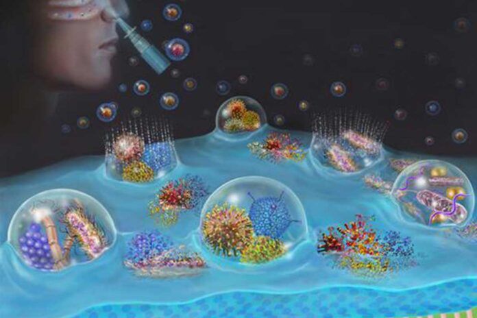 Hacia un innovador aerosol nasal frente a infecciones respiratorias