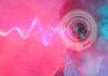 ¿Cómo se adapta el cerebro a los sonidos? ¿Cómo se adapta el cerebro a los sonidos?