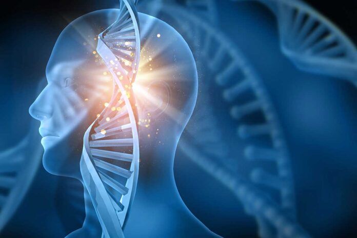 adn Hallan un engranaje clave en la enfermedad de Huntington