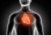 Nanopartículas de oro para ‘ver’ el corazón Nanopartículas de oro para ‘ver’ el corazón