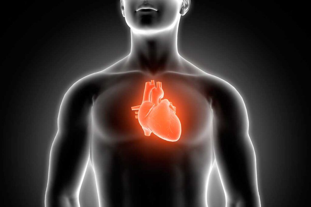 Nanopartículas de oro para ‘ver’ el corazón
