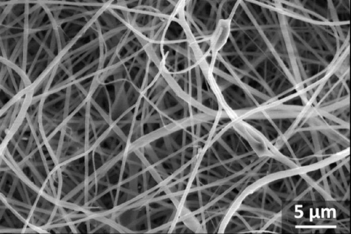 Nanopasta: los espaguetis más finos del mundo con aplicaciones biomédicas