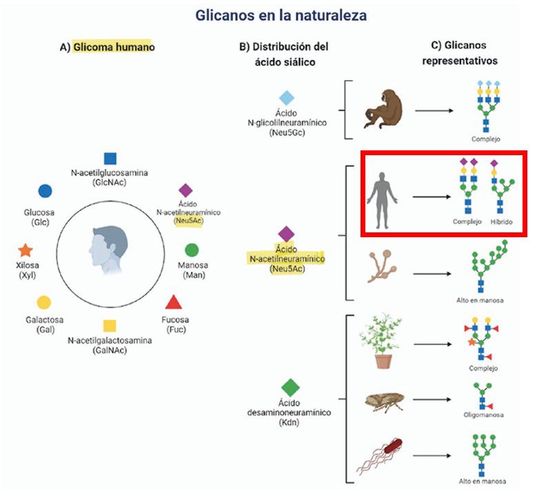 El gato que está triste y griposo
