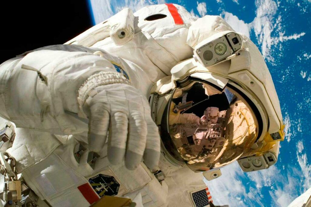 La bacteria 'Conan' resiste la radiación extrema