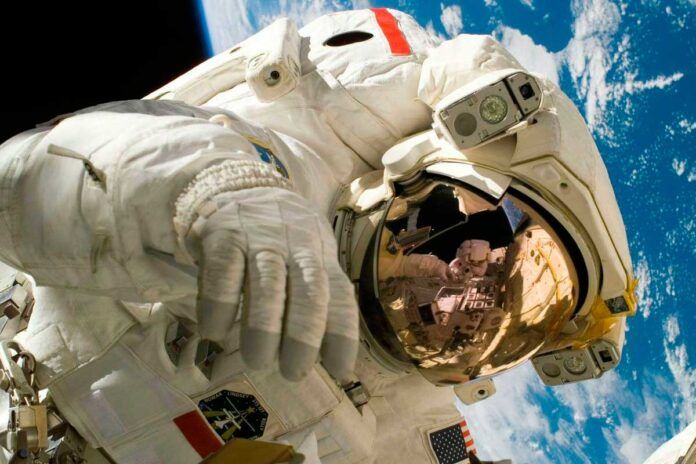 astronauta La bacteria 'Conan' resiste la radiación extrema