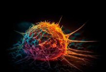 Cáncer: aumento en mortalidad e incidencia Cáncer: aumento en mortalidad e incidencia