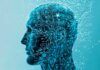 Demuestran que la inteligencia utiliza todo el cerebro Inteligencia: los humanos tenemos tres tipos diferentes