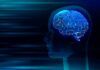 Avances en la investigación del envejecimiento del cerebro Avances en la investigación del envejecimiento del cerebro