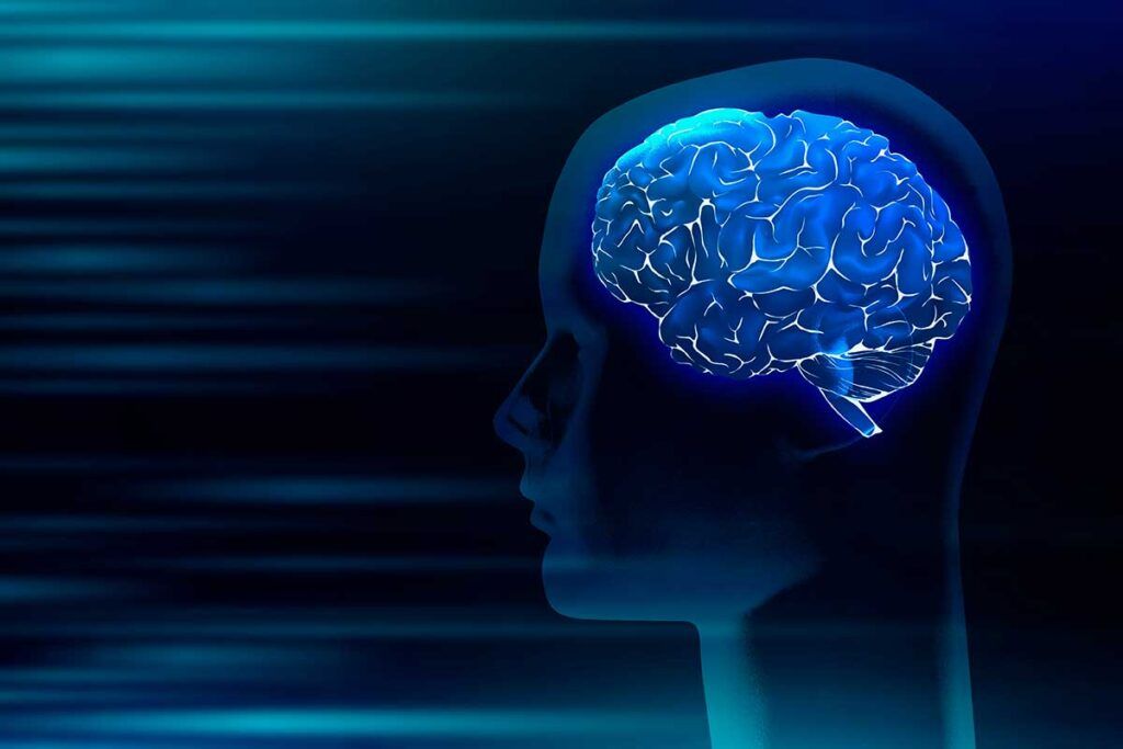 Avances en la investigación del envejecimiento del cerebro