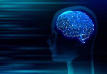 Avances en la investigación del envejecimiento del cerebro Avances en la investigación del envejecimiento del cerebro
